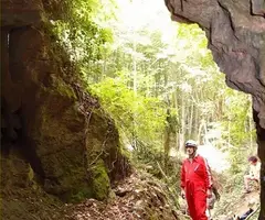Photographie de FONT GROSSA, COVA DE LA (1 sur 5)