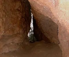 Fotografia de MANEL, COVA DEL (1 de 21)