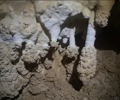 Fotografia de PEDRERA DE L'ANTIC, FORAT DE LA (8 de 8)