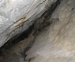 Fotografia de BRUTO, COVA DEL (5 de 5)