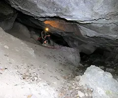 Fotografia de TRONASSA DE LA TOR, LA (4 de 6)