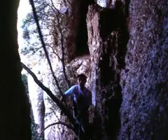 Photograph of ESQUIROL, COVA DE L' (6 of 7)