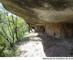 Photograph of CAMBRES DE LA LLERA, BALMA DE LES (1 of 2)