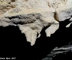 Fotografía de MASSANA, COVA DEL (8 de 9)
