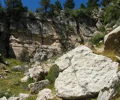 Fotografía de PEDRÓ, BÒFIA DEL (3 de 5)