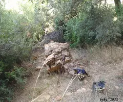 Photograph of HEREU, COVA DE L' (5 of 5)
