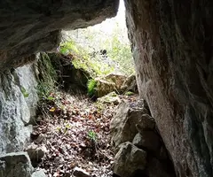 Photographie de BANCARRASSOS, ESCLETXA DELS (1 sur 4)