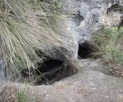 Fotografia de CINGLE, AVENC DEL (2 de 8)