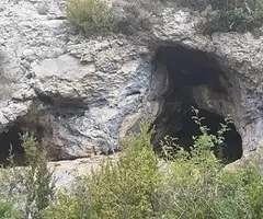 Photograph of FESOLERETS, COVA DE (3 of 4)