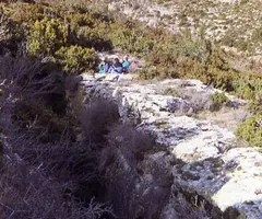 Fotografía de ALSAMORA,  GRALLERA D' (1 de 1)