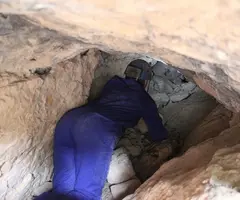 Fotografía de JONCAR, COVETA DEL (2 de 3)