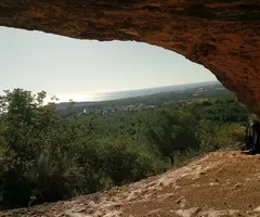 Photographie de COMA D'EN GALL, COVA DE LA (4 sur 4)