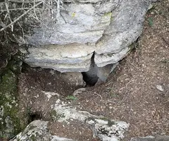 Fotografia de TOSSAL DE CANTACORBS, AVENC DEL (1 de 9)