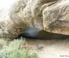 Photographie de PUIGANSERIC, COVA DE (2 sur 2)