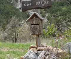 Fotografia de NEGRE, FORAT (1 de 12)