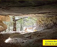 Fotografía de AVELLANA, COVA DE S' (3 de 5)