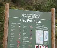Fotografía de FALUGUES, COVES DE SES (1 de 11)