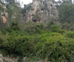 Photograph of PONT DE LA BAUMA, COVA DEL (1 of 2)