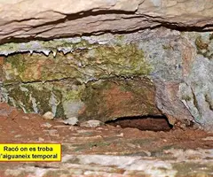 Fotografia de FIGUERA, BALMA DE LA (4 de 4)