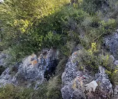 Fotografía de CASTELLETS, AVENC DELS (1 de 2)