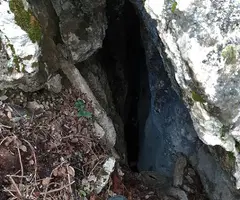 Fotografía de MAS DE LES FONTS, ESQUERDA Nº 5 DEL (9 de 11)
