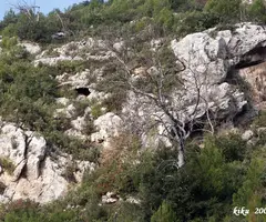 Photograph of SANTA ANNA, COVES DE (1 of 8)