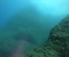 Fotografía de PUNTA GROSSA, COVA SUBMARINA DE LA (2 de 5)