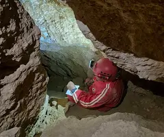 Fotografia de CINGLE DELS PINS ALTS, COVA DEL (5 de 8)