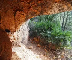 Fotografía de ROCA LLORENYA, COVA DE (1 de 3)