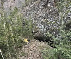 Fotografía de TOROGÓ, COVA DE (1 de 1)