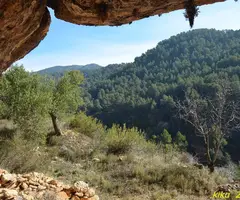 Photographie de PALLA, COVA DE LA (2 sur 2)
