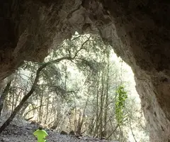 Fotografía de VAQUERA, BALMA DE LA (3 de 4)