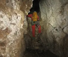 Photographie de ESTRULLS, GRALLER D' (8 sur 11)