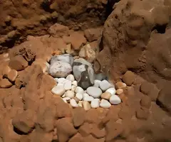 Fotografia de PEIXET, COVA D'EN (35 de 35)