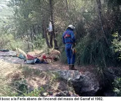Fotografia de FERLA, AVENC DE LA (2 de 12)