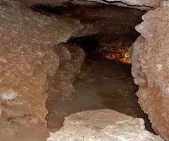 Photographie de TORALLA, COVA DE (4 sur 5)