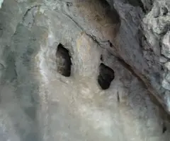 Fotografia de PENJADA DEL BARRANC FONDO, COVA (3 de 4)