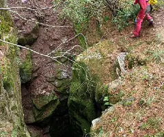 Photographie de GRALLES, FORAT DE LES (2 sur 7)