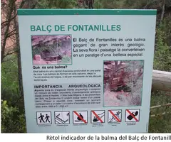 Photographie de BALÇ DE LES FONTANILLES, BALMA (1 sur 3)