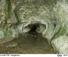 Fotografia de TOLL, COVA DEL (25 de 26)