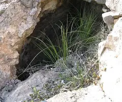Photographie de SAL DE LLOP, AVENC DE LA (2 sur 8)