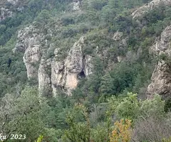 Fotografia de COMELLAR DEL MAS DEL VERD, COVA DEL (1 de 6)