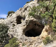 Fotografía de BENAIXA, COVA (1 de 4)