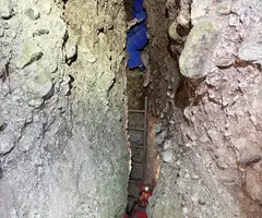 Fotografia de PEPET, BÒFIA D'EN (5 de 8)
