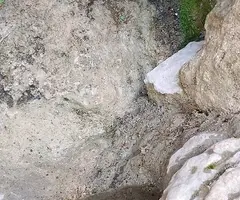 Fotografia de COMARQUES, COVA DE LES (4 de 5)