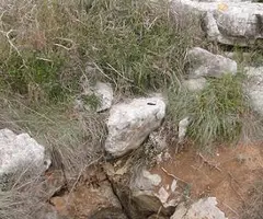 Fotografía de DIUMENGES, AVENC DELS (1 de 3)