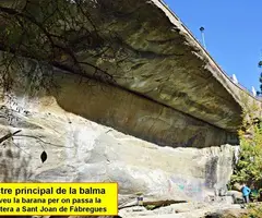 Photographie de LLIMS, BALMA DELS (1 sur 5)