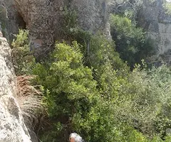 Fotografía de CAN PONÇGEM, COVA Nº 3 DE (1 de 3)