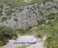 Fotografía de PENYALS, COVETA DELS (1 de 1)