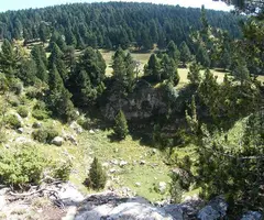 Fotografía de PEDRÓ, BÒFIA DEL (1 de 5)